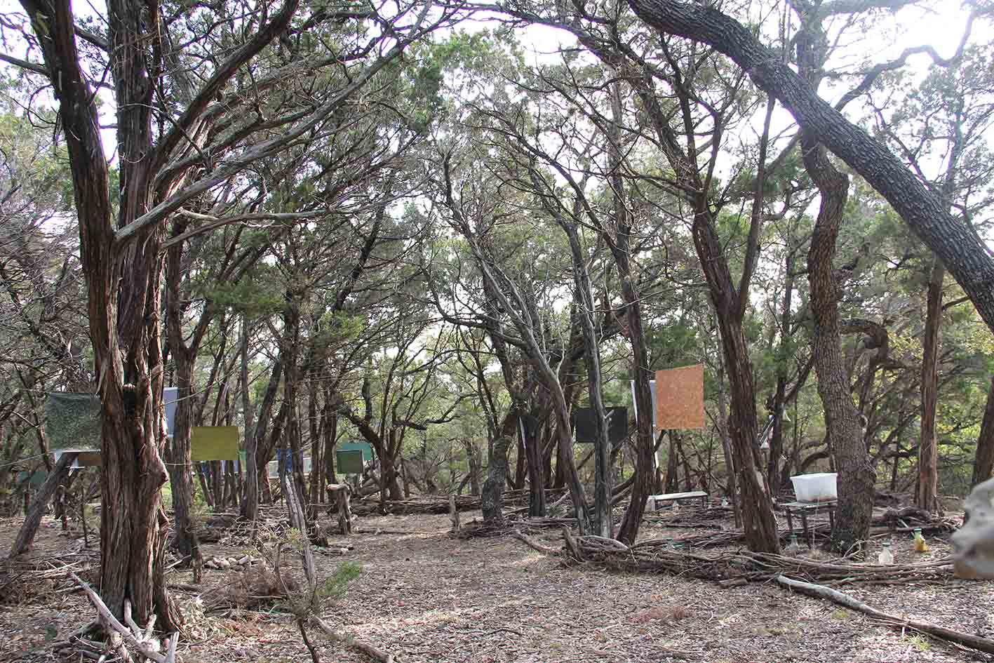 Land Art Austin